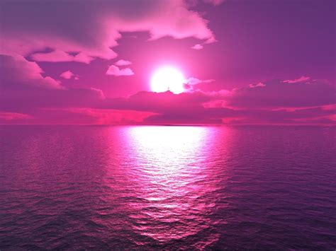 Aesthetic Pink Sunset Painting Largest Wallpaper Port