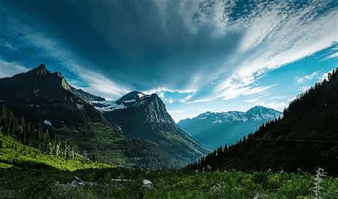 Code v—income from the exercise of nonstatutory stock option(s). Glacier National Park GIFs - Find & Share on GIPHY
