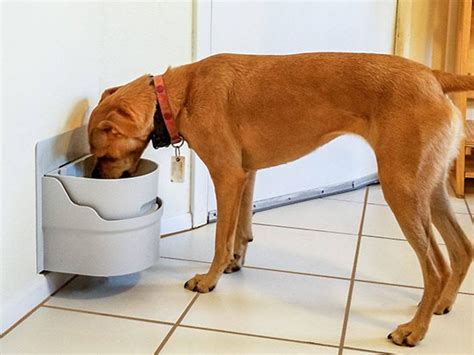 Perpetual Well Automatic Water Bowl Perpetual Well