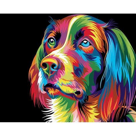 Rainbow Dog Animals Paint By Number Painting By Numbers