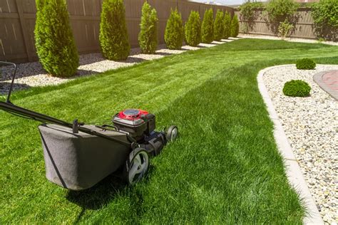 How To Mow A Lawn Best Lawn Mowing Techniques