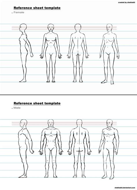 Character Reference Sheet Character Model Sheet Character Template