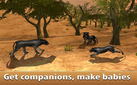 Black Wild Panther Simulator 3damazoncaappstore For Android