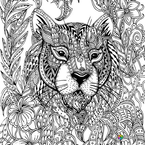 Lion Tiger Coloring Animals Leo Animales Animaux Lions Animal
