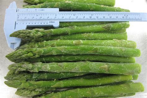 Supply IQF Frozen Green Asparagus Factory Quotes - OEM