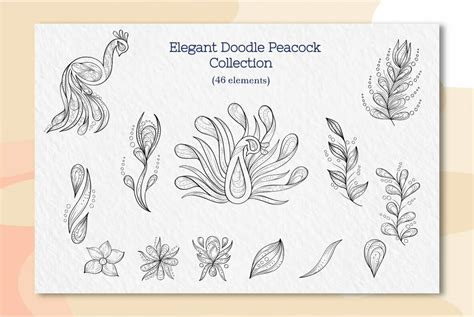 Elegant Doodle Peacock Collection Graphics Youworkforthem