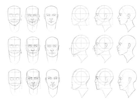 Loomis Method Front And Profile Full — Imgbb Drawing Tutorial Face