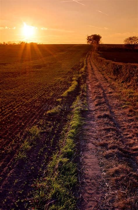 Sunset Over Farmland Stock Image Image Of Outdoors Path 21732903