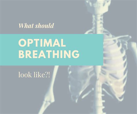Optimal Breathing Why Is It Important Air Physiotherapy Breathing