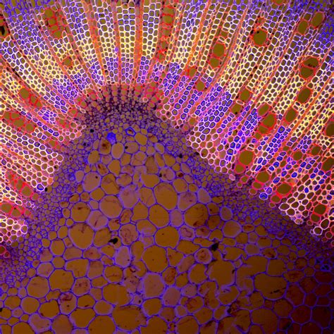 Februar 1954 in bülzig) ist ein deutscher politiker (cdu) und seit dem 19. People | Haseloff Lab: