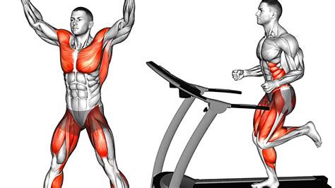 Cardio Exercises At Home Vs Gym Cardio