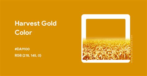 Harvest Gold Color Hex Code Is Da9100
