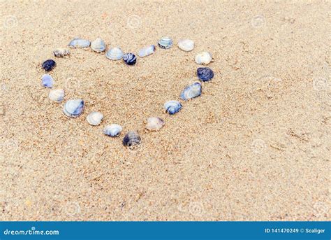 Heart Built Of Sea Shells On The Sand Stock Image Image Of