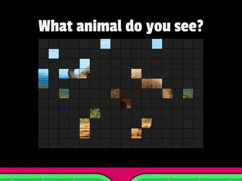 What Animal Do You See Image Quiz