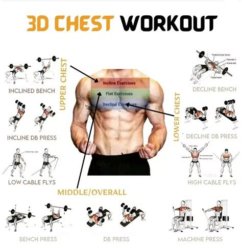 Chest Workout Chart Chest Workout Chart For Men Chest Workout