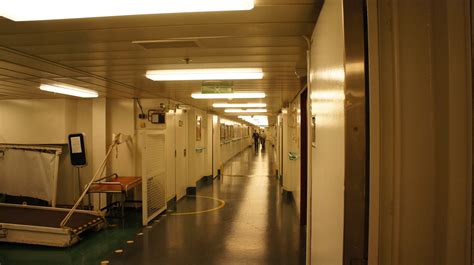 What Are The Crew Areas Like On A Cruise Ship Cruiseblog