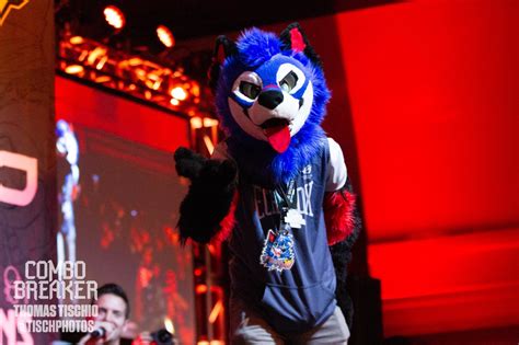 Fox Sonicfox On Twitter And Let The Show Begin Fursuitfriday