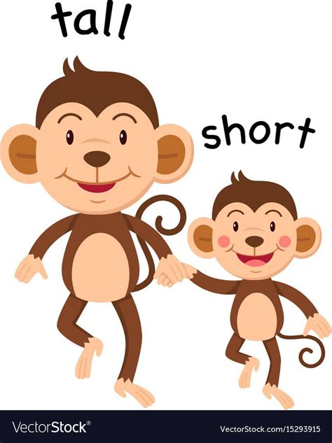 Comparing Tall Vs Short Activities For Young Students To Begin