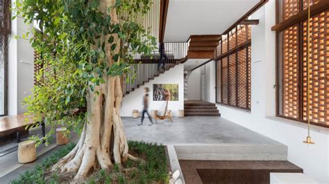 Ten Interiors From Homes Featuring Verdant Indoor Trees
