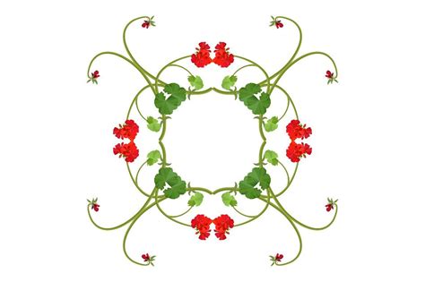 Geranium Ornamental Patterns Geraniums Floral Ornaments