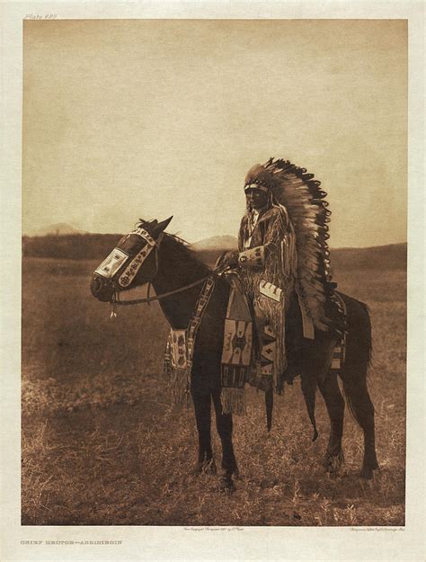 Chief Hector Assiniboin Painting By Edward Sheriff Curtis Pixels