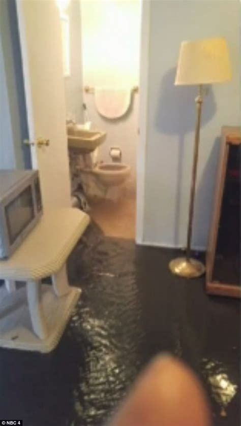 Feces Floods Nj Womans Home After Sewer Line Break Daily Mail Online