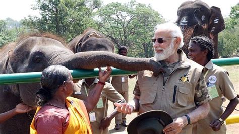 Pm Modi Meets ‘the Elephant Whisperers At Theppakadu Camp Tweets