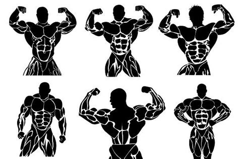 Set Of Bodybuilding Icons Bodybuilding Gym Icon Icon Illustration