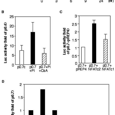 Nfatc Binds The Nfatc Proximal Promoter A Shown Are The Sequences