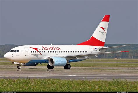 Austrian Airlines Boeing 737 Ng Max Oe Lnl Photo 65081 Airfleets