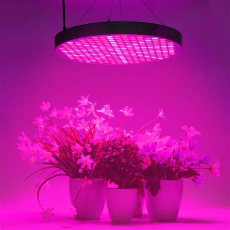 Plant Grow Lights When And How To Use Them Indoor Gardening