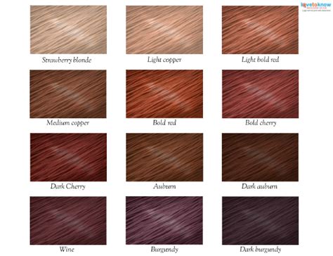 29 Hq Pictures Hair Colors Auburn Brown Hair Wikipedia