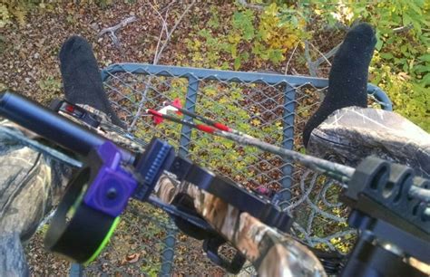 How To Increase Daylight Deer Movements For Hunting Whitetail Habitat