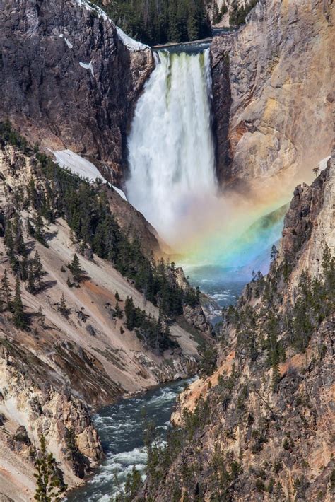 Lower Yellowstone Falls Rainbow Grand Canyon Of Yellowsto Flickr