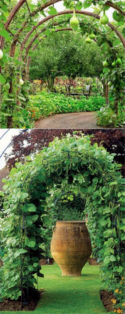 Build a gourd tunnel to add much charm to a garden: 20 Cheap And Easy DIY Trellis & Vertical Garden Structures