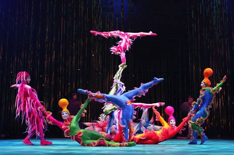 Entertainment And Sports ¿do You Want To Know The Best Shows Of Cirque