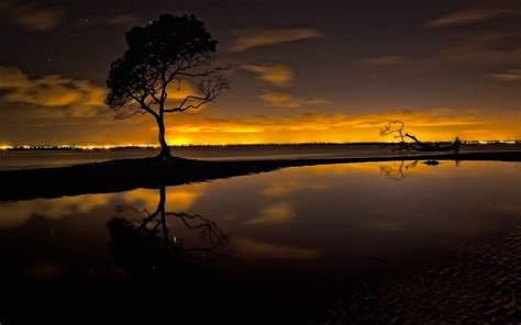 Silhouette Of Tree Near Body Of Water During Sunset Trees Alone