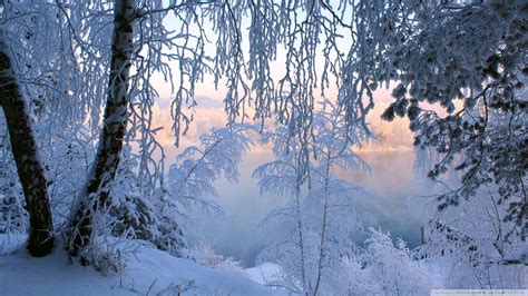 Download Beautiful Winter Frost Wallpaper 1920x1080 Wallpoper 450626
