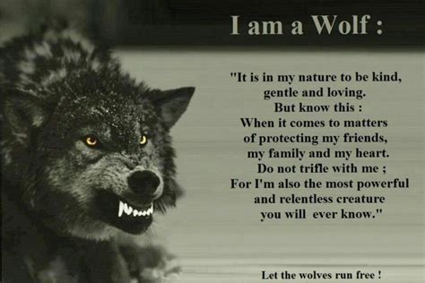 I Am A Wolf Wolf Pack Quotes Lone Wolf Quotes Warrior Quotes