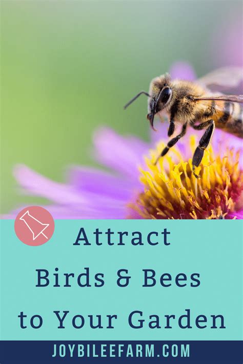 Attract The Birds And The Bees To Your Garden To Create A Thriving