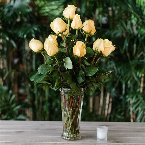 Yellow Roses One Dozen In Las Vegas Nv Rose Shack Florist