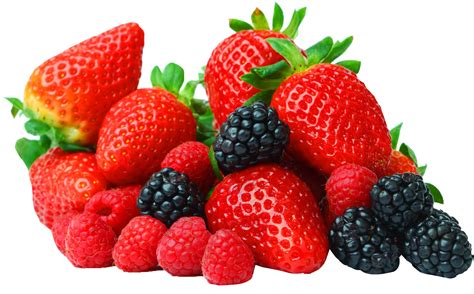 Collection Of Berry Png Hd Pluspng