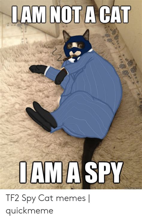 25 Best Memes About Spy Cat Spy Cat Memes