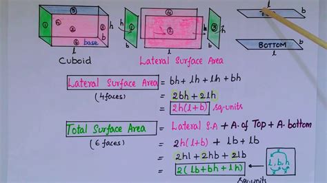 Formulas For Lateral Surface Area And Total Surface Area Of Cuboid