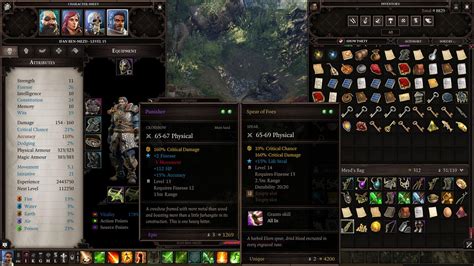 Divinity Original Sin Nude Mods Peatix