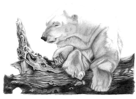 Polar Bear Art Print Hand Drawn Animal Pencil Drawing A4 Etsy
