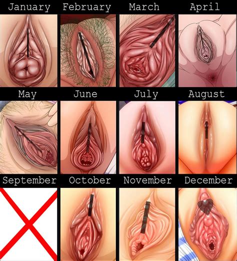 Rule 34 Anal Anus Censor Bar Censored Chart Clitoris Close Up Kaigun