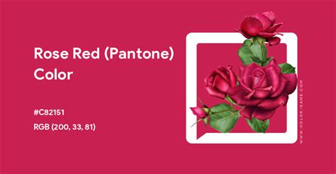 Rose Red Pantone Color Hex Code Is C82151