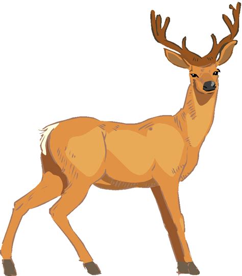 Red Deer Clipart 20 Free Cliparts Download Images On Clipground 2020