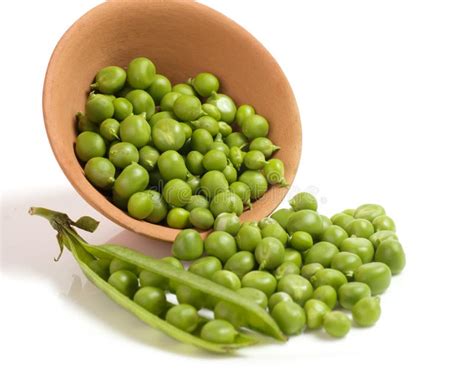 Fresh Green Peas Stock Photo Image Of Grain Growth 32701382